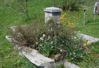 DSC_3981.jpg