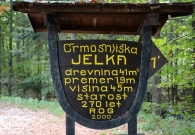 DSC_5945.JPG