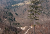 DSC_9024.JPG