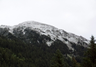 DSC_2638.JPG