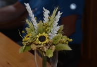 DSC_2648.JPG