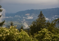 DSC_2651.JPG