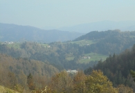 DSC07231