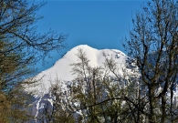 IMG_0279 (2)