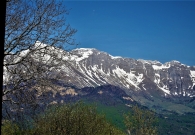 IMG_0317