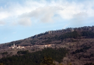DSC_8016