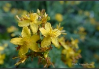 _DSC4257bOutput02