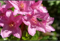 _DSC4288bOutput07
