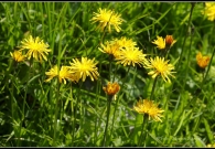 _DSC4314bOutput11