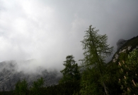 DSC_0192.JPG