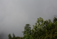 DSC_0196.JPG