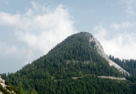 DSC_0199.JPG