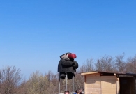 010