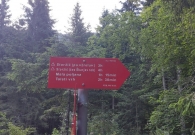 IMG_20210703_070139
