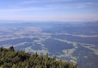 IMG_20210703_093724