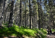 DSC_2066.JPG