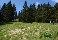 DSC_2074.JPG