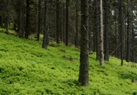 DSC_2116.JPG