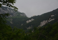 DSC_6443.jpg
