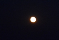 DSC_6471.jpg