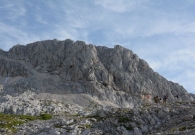 DSC_6513.jpg