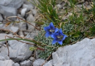 DSC_6618.jpg