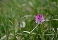 DSC_6622.jpg