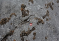 DSC_6626.jpg