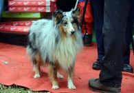 DSC_8403.JPG