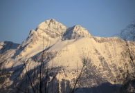 _MG_5329_resize.JPG