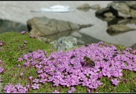 _DSC6071bOutput09