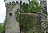 DSC00506