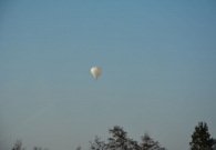 DSC_5246.jpg