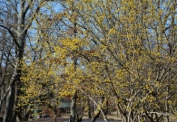 DSC_5249.jpg