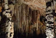 DSC_5267.jpg