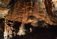 DSC_5284.jpg
