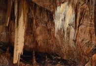 DSC_5309.jpg