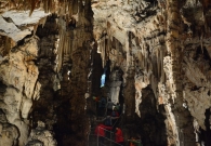 DSC_5312.jpg