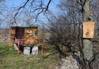 DSC_5322.jpg