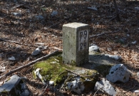 DSC_5351.jpg