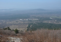 DSC_5352.jpg