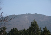 DSC_5358.jpg