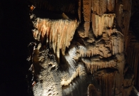 DSC_8687.JPG