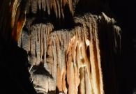 DSC_8695.JPG