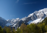 DSC_9484.JPG