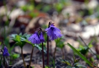 DSC_9590.JPG