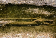 DSC_9595.JPG
