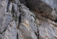 DSC06190.JPG