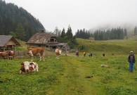 DSC06238.JPG