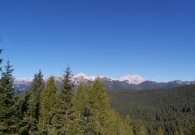 20210925_094648_resized